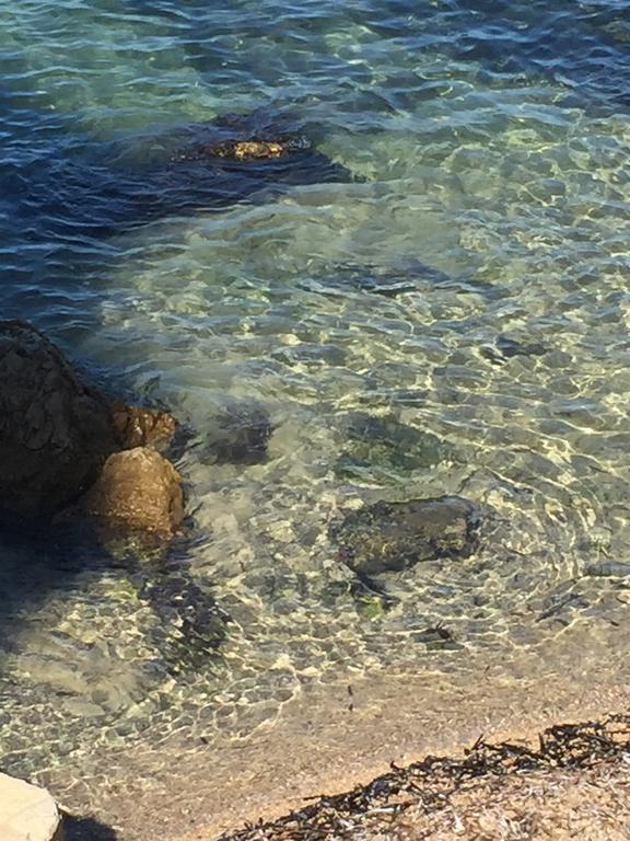 הוילה Cap Antibes Les Bosquets מראה חיצוני תמונה